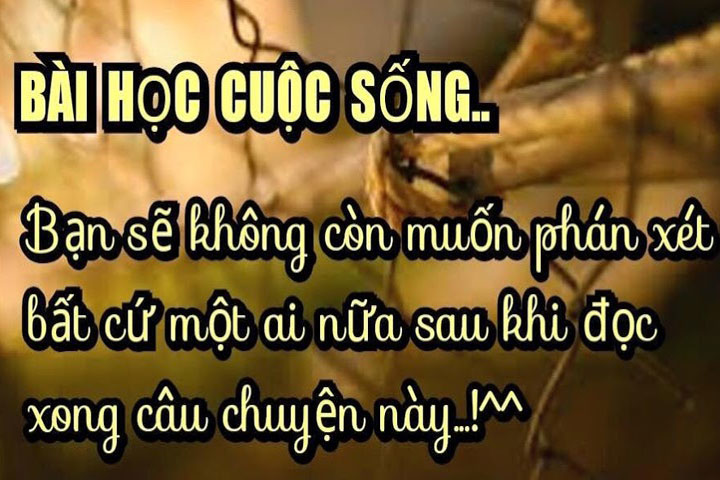 Trong cuộc đời này, đã bao lần bạn phán xét người khác khi không biết câu chuỵện thật đằng sau?