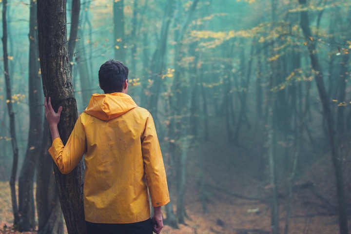 Phàm làm việc gì, suy nghĩ đến hậu quả của nó